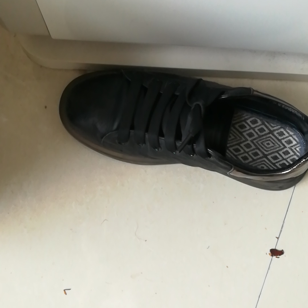 men shoes